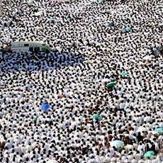 Ini Dia Kriteria Jamaah Haji yang Ditunda Keberangkatannya