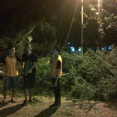 Pohon Asem Berumur 60 Tahun Timpa Kios, Motor dan Siswi SMK di Semarang