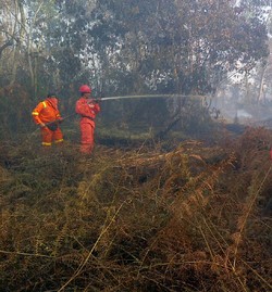 Malam Hari Asap Pekat Kembali Selimuti Pekanbaru