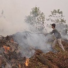Gara-gara Kabut Asap, 2 Penerbangan di Malaysia Dialihkan