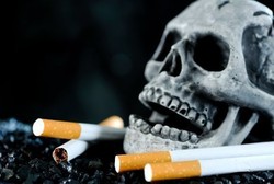 Tak Hanya Perokok Aktif dan Pasif, Sisa Rokok Juga Bisa Merusak DNA
