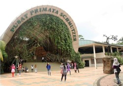 Ragunan Bakal Seru, Hewan Berparade Sambut HUT Jakarta