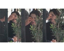 Bukti Baru Kasus KDRT Chef Cantik Nigella Lawson: Hidung Diplintir Suami