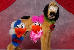 Kontes Terunik di AS, Anjing Diubah Jadi Donald Bebek!
