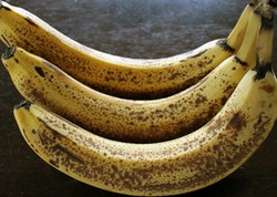 Menyimpan Pisang Masak