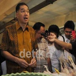 Harga Ayam Naik, Gita Wirjawan: Saya Sudah Panggil Ketua Asosiasi Ayam