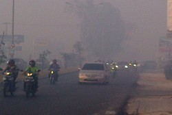 Kasus ISPA Akibat Kabut Asap Riau Meningkat, Tapi Masih Terkendali