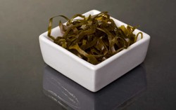 Kandungan Antioksidan Rumput Laut Efektif Lunturkan Lemak