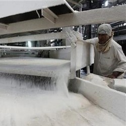 RNI Dapat Kredit Rp 500 Miliar dari BNI Untuk Jualan Raja Gula