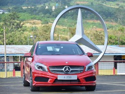 Mercy Pelajari Mobil Murah