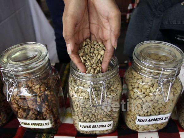Produksi dan Ekspor Kopi Nasional Mulai Meningkat