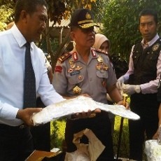 Jatim Ranking 3 Nasional Penyalahgunaan Sabu, Didominasi Pelajar