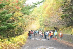 Begini Indahnya Gunung Fuji di Akhir Musim Gugur