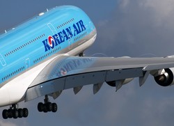 Bagus! 2 Maskapai Korsel Tolak Bawa Sirip Hiu