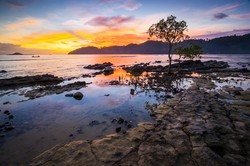 Senja di Pantai Nipah