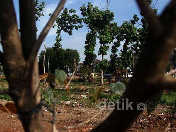 10 Hektar Lahan untuk Taman Waduk Pluit