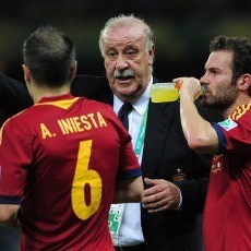 Jelang Final, Del Bosque Sebut Brasil Favorit