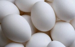 Supaya Tak Mudah Lelah, Sarapan Saja Telur Ayam Kampung Rebus