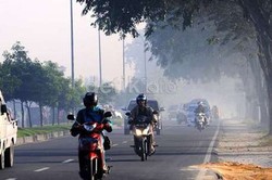 Walhi: Tersangka Pembakaran Lahan di Riau Jangan Hanya Sentuh Petani