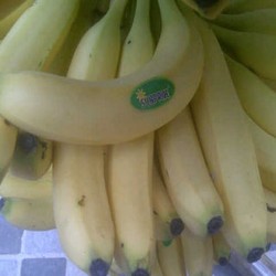 Orang RI Malas Makan Pisang Karena Dianggap Makanan Kalangan Miskin