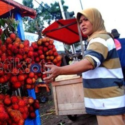 IPB Siap Ciptakan Rambutan Manis Tanpa Biji