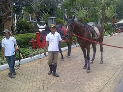 Ini Jawir dan Gerhana, Tunggangan Jokowi-Ahok di Jakarnaval