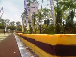 Kue Lapis Talas Bogor Raksasa Raih Rekor MURI