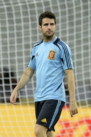 Fabregas: Lawan Brasil adalah Final Impian