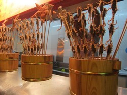 Beijing Juga Punya Pasar Kuliner Ekstrem!