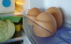 Agar Tahan Hingga 3 Minggu, Simpan Telur Dalam Kulkas