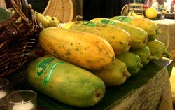 Pepaya Callina Diperkenalkan di Fruit Summit 2013