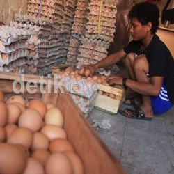  Peternak Sebut Harga Sebutir Telur Lebih Murah dari Biaya Parkir di Jakarta