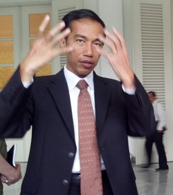 Jokowi: Rusun Rawa Bebek Selesai Desember, Sewa Rp 200 Ribu Per Bulan