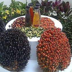 RI Berpotensi Produksi 45 Juta Kiloliter Biodiesel/Tahun