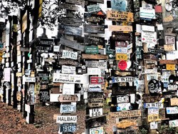 Ada Nopol Indonesia di Sign Post Forest