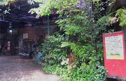 Melihat Kampung Hijau di Cilandak yang Jadi Contoh Dunia