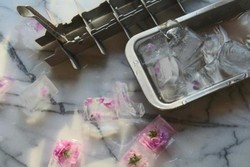 Wah! Mawar Cantik Ini Bikin Minuman Jadi Dingin dan Menarik