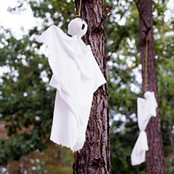 Pengakuan Artis Soal Hantu, dari Ditampakkan Hingga Dicekik Kuntilanak