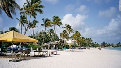 Ingin Ganti Kewarganegaraan? Negara-negara ini Bisa Jadi Pilihan