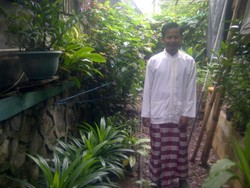 Nyok Tengok Taman Tanaman Obat di Menteng