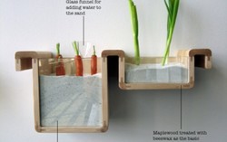 Tak Ada Kulkas? Simpan Sayuran Segar Dengan Cara Ini!