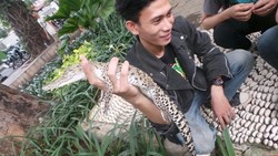 Melongok Pesona Reptil di Taman Depan Rumah Jokowi