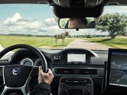 Volvo Terus Kembangkan Teknologi Pendeteksi Hewan Liar