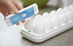 Jumlah Telur Tersisa di Kulkas Bisa Dicek Lewat HP