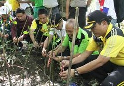 Polrestabes Surabaya Tanam 6.700 Mangrove di Pamurbaya