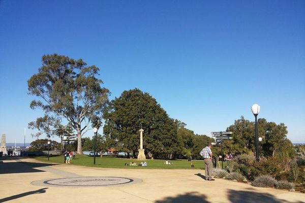 Taman Para Raja dan Pohon 750 Tahun di Perth Taman Para Raja dan Pohon 750 Tahun di Perth