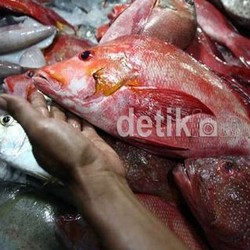 Selain Sapi dan Ayam, Harga Ikan Juga Ikut Naik