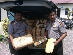 500-an Kg Ganja Kering Diamankan Polisi di Deli Serdang