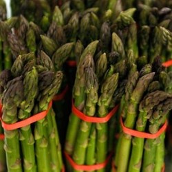 Sayuran Impor RI Banyak Datang dari 5 Negara Ini