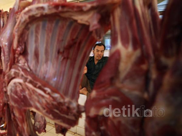3.000 Ton Daging Sapi Amankan Stok Ramadan